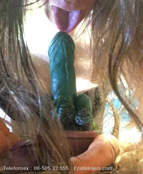 Telefonsex med Bondbruden Bondbruden Telefonsex beskrivning: